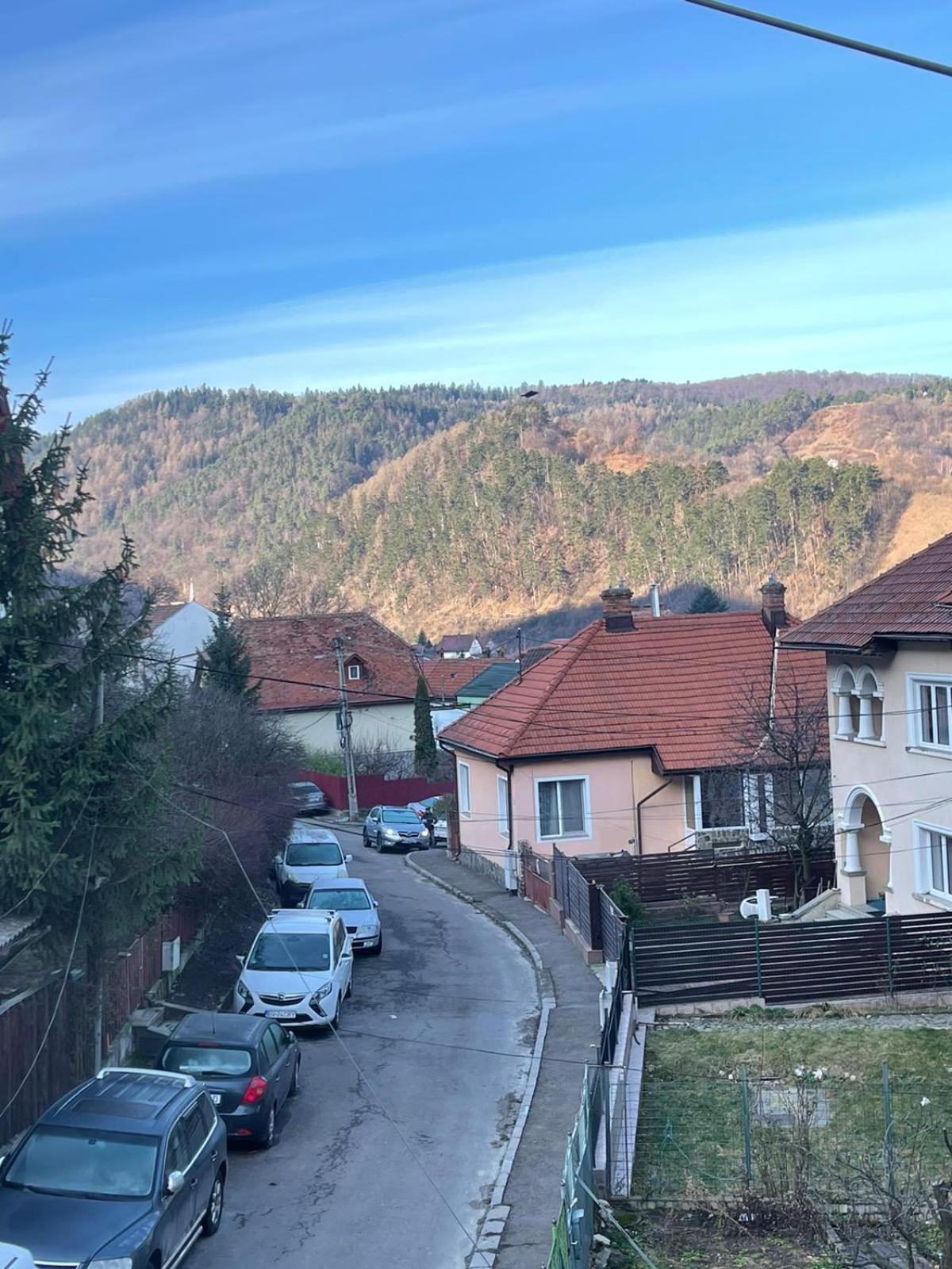 Iza Bella Apartament